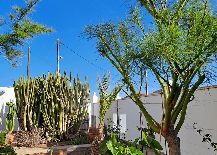 Apartamento Papaya-bar Rooftop Casa Coronel La Lajita, Since 2026 La Lajita