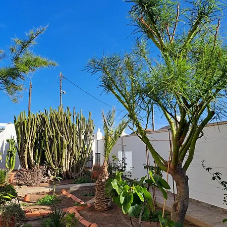 דירה Papaya-bar Rooftop Casa Coronel La Lajita, Since 2026 Lajita